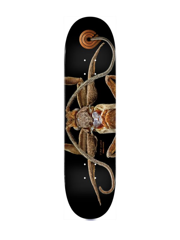 Powell Peralta Biss Marion Moth Deck - 8.25" x 31.95"