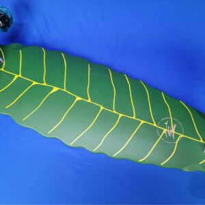 Custom skateboard / Longboard 2024 Leaf Green