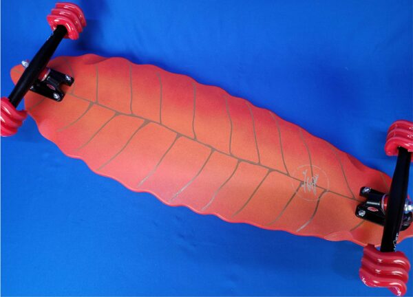 Custom Red Leaf skateboard longboard cruiser 2024 - Image 4