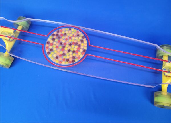 Longboard Custom Skittles Skateboard: Closeout - Image 2